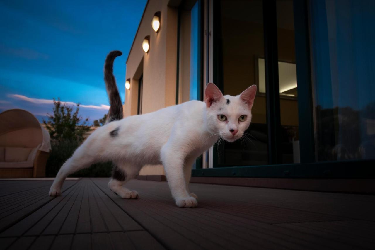 Sea Cats' Villas Sutivan Buitenkant foto